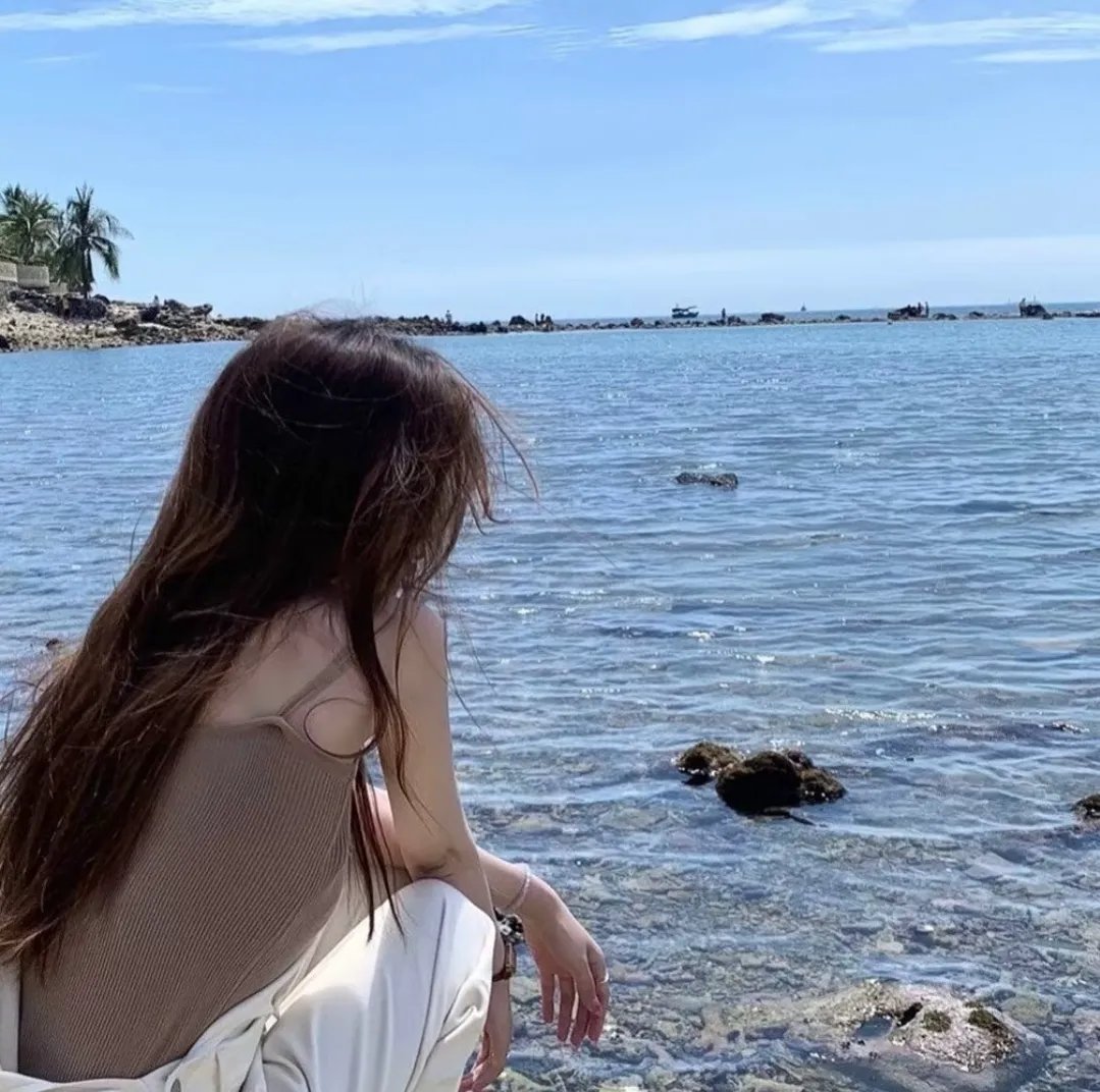 海狸海报